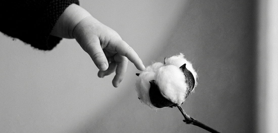 Why "Organic Cotton" Labels Don't Always Mean What You Think
