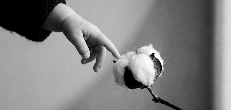Why "Organic Cotton" Labels Don't Always Mean What You Think